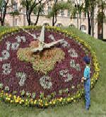 копии часов сумки